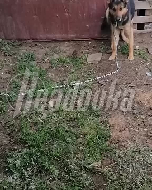 �������� ����� � ������ ����� �� ���������� ������� ������� � ������������ � ��� ��������� ������� ������������ �� ������ �������� �������� ��������