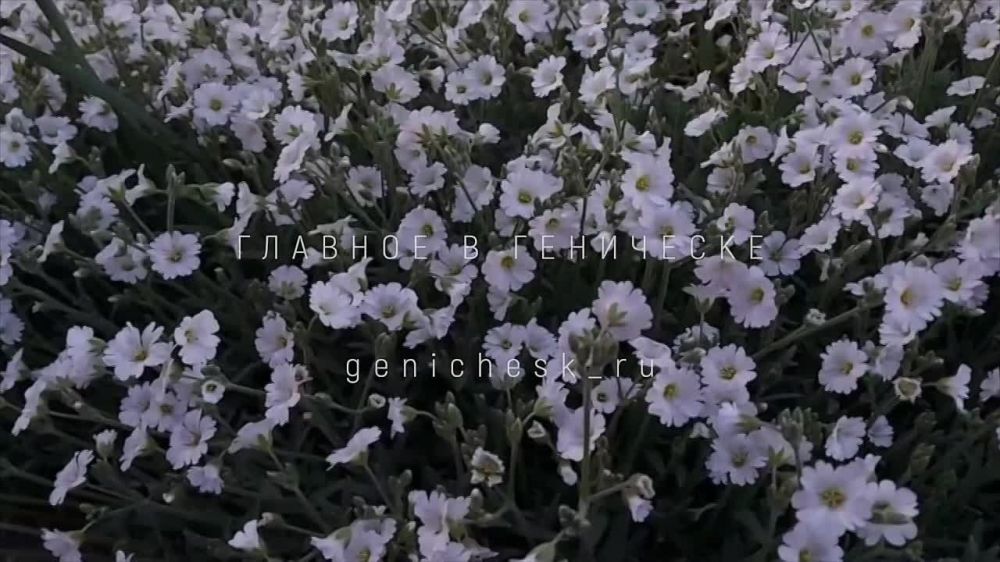 ���������� ����� ������ ������