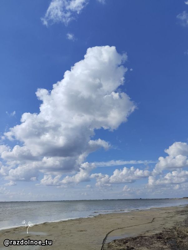 � ������ �����! ����������!