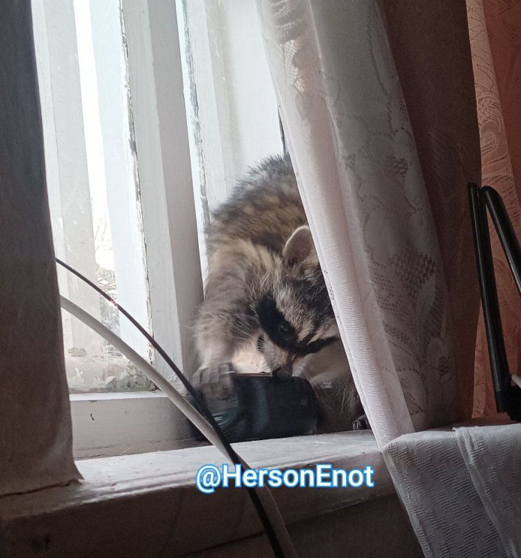 ���� �� �������: ������, ������ ����! ������ ��� � �������� �������!