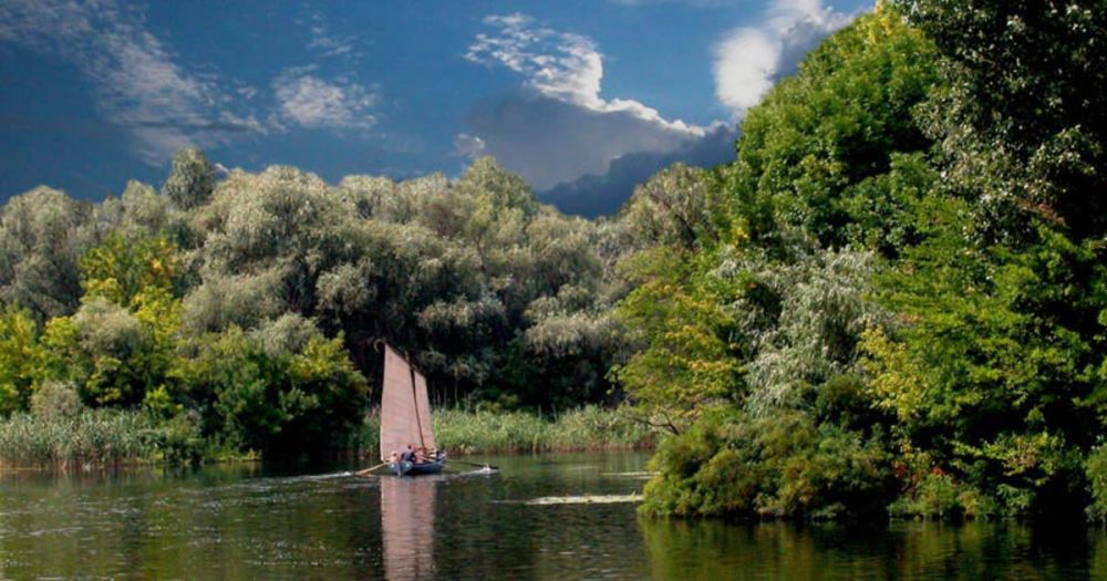 ����� ����� ������ � ���������� ������� 17 ���