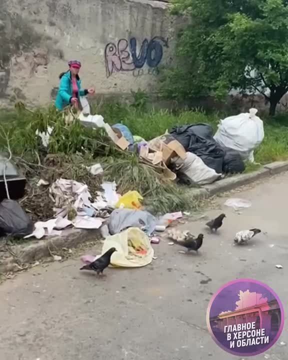 ���� �������� ������ ������� � �������� �������������� ������� ���������� ������� ���������� ������� � ������