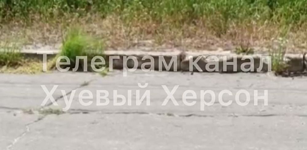 ����������, ��� ��� ������ � ���������..