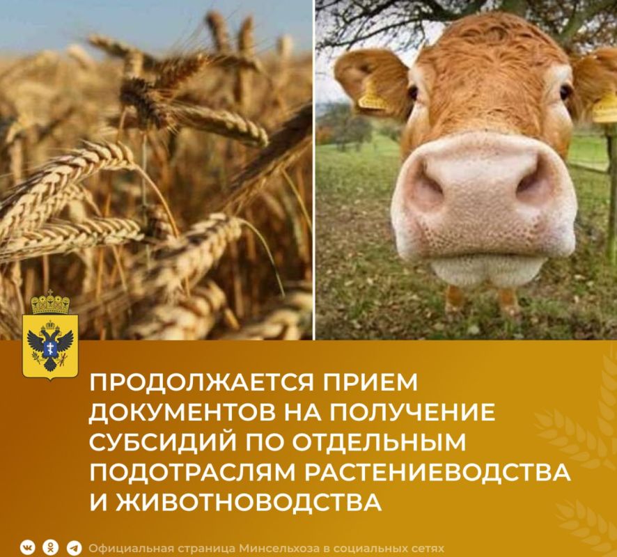 ������������ ����� ���������� �� ��������� �������� �� ��������� ����������� ��������������� � ��������������