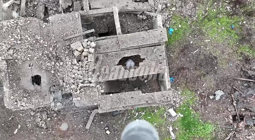 ������� ����� ���������� ����������� � �������� ����� �������� � ��� �������� ������ 1 �� ���������� ������