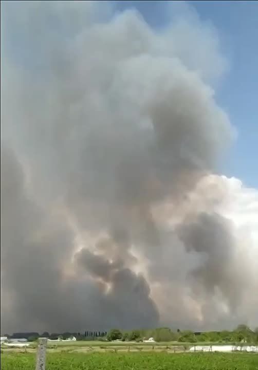 �� ����� ������ � ������ ����������� ������� ������ �����