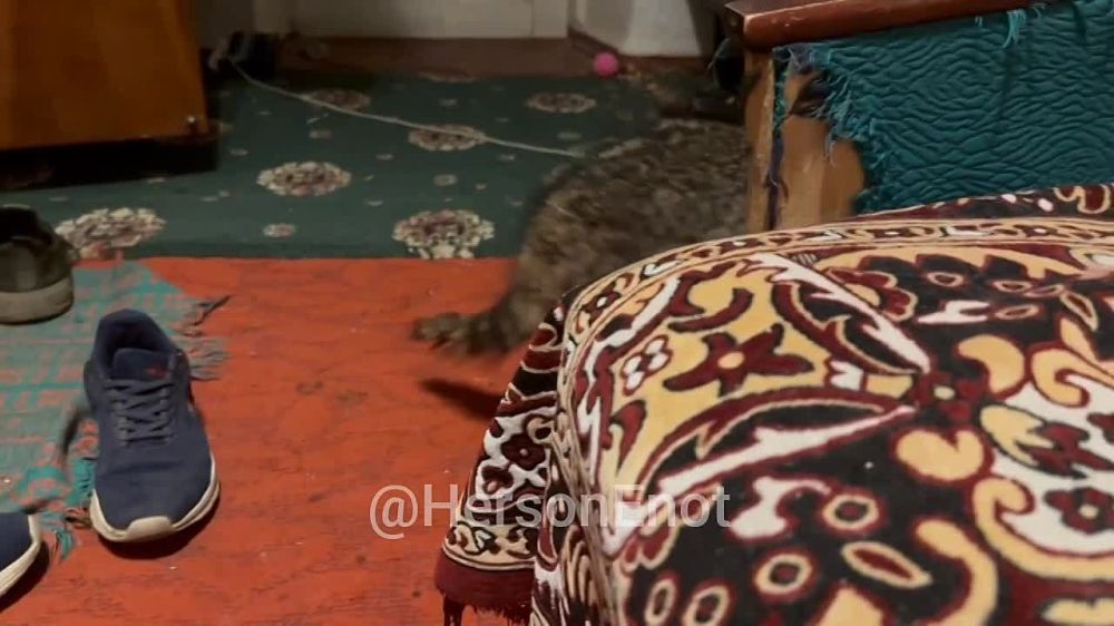 ���� �� �������: �������� �������� �� �����