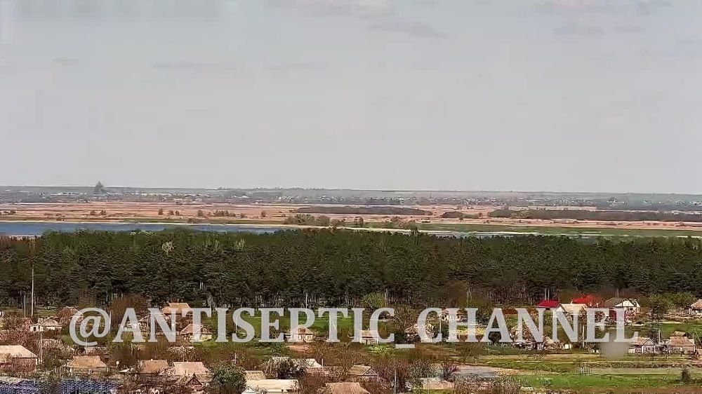 ���������� ������� ���������� ����� � ������������ � ��� ���������� �� ���������� �����������: ����� �� ANTISEPTIC