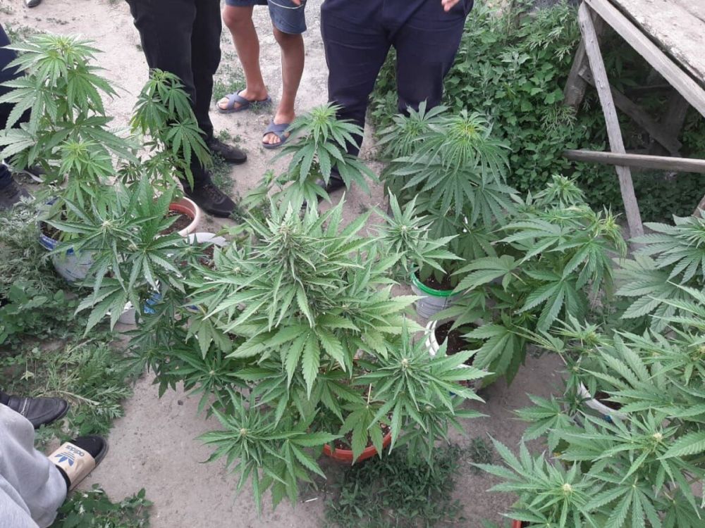 � �������������� ����������� ������ ��������������� ����� �������