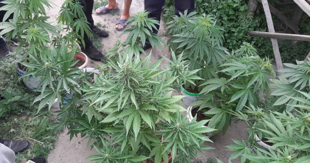 ����� ������� ������ ����������� � ������ ���������� �������