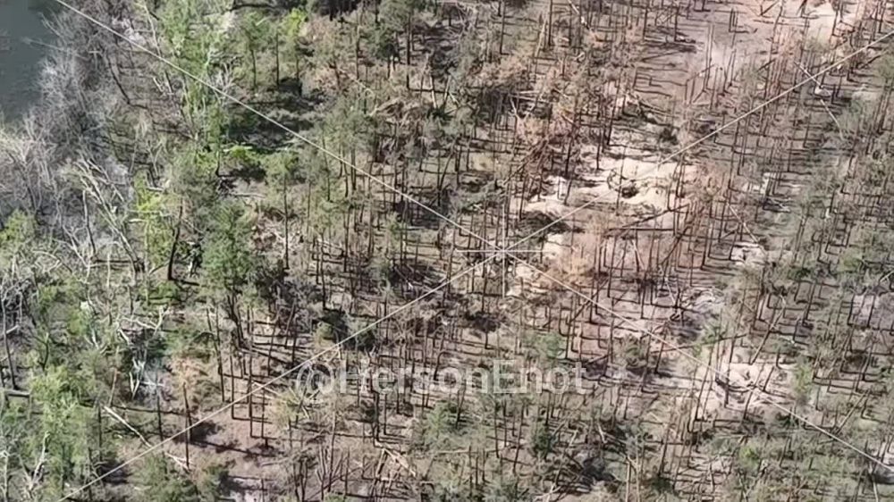 ���� �� �������: ���������� ��� ���������� �������� � ��������� ����