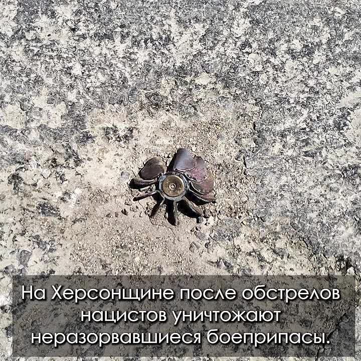 ������ ����������: ����� ����� ������������ ���� � ������������ ������� � ������, �������� �� ���������� �������� ��������