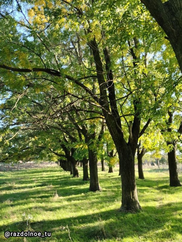 ����������!. � ������ �����