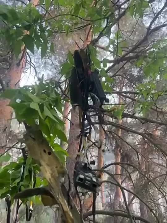 ���������� �����������, �������� ������� ����������: