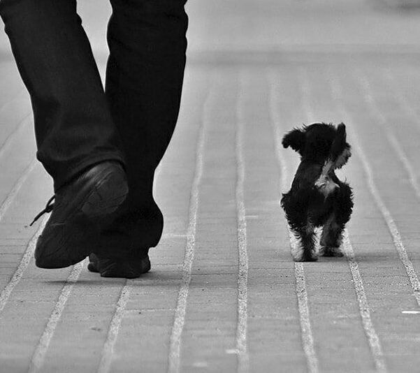 �������� �������, ��� �� ������ �� � ����� ��������, ��������� �� ����� ����������� ����