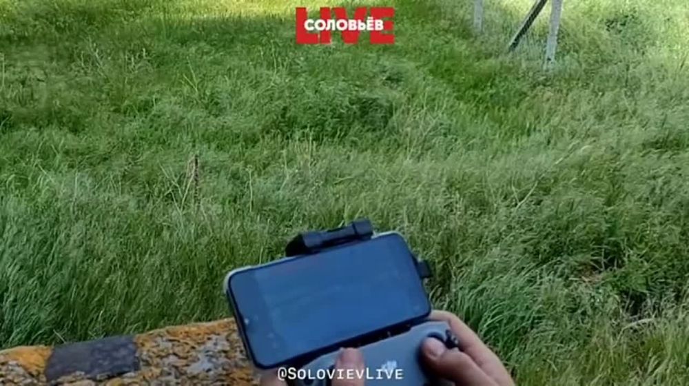 ���� � ��������: ��� ���� ����� ������� ����� ������