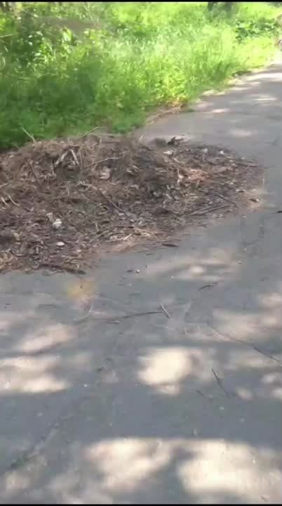 ������������� ���� � ������� �������� ������, �� �� ����������