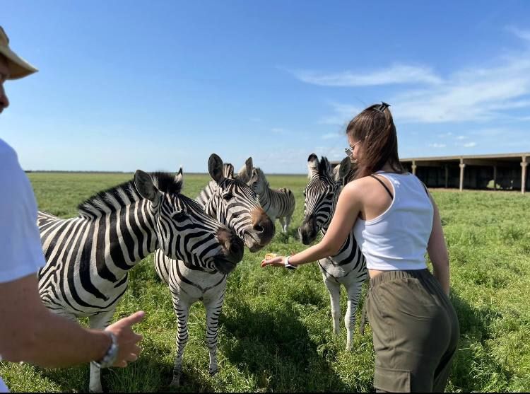 ����� ������������� �������� �� ����������� �������-���� ��������� ��������� �� ���������