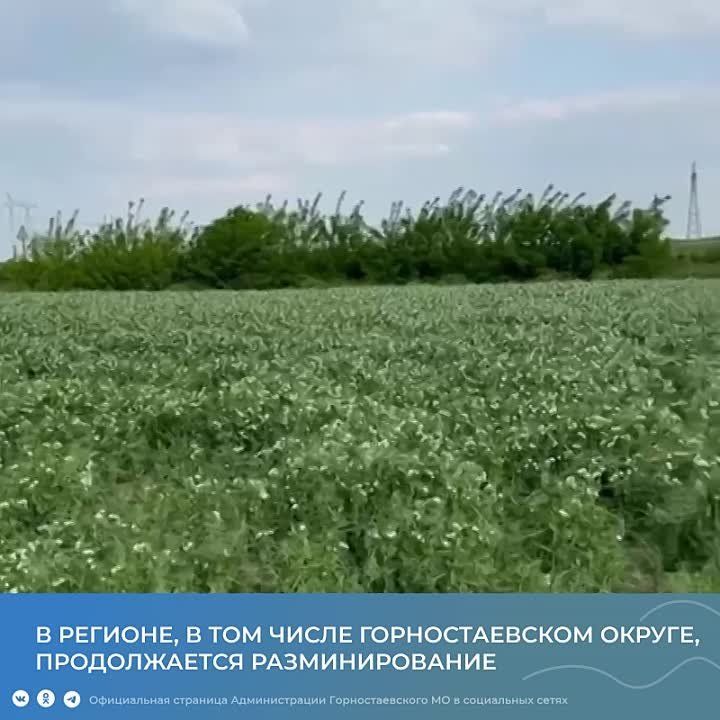 ������������ ������ ������ �� ����������� ��� � ��������, ���������� ����� ���������