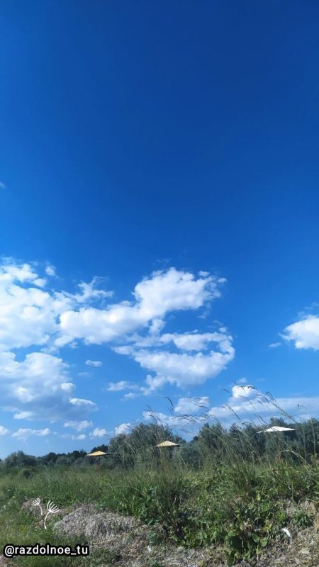 � ������ �����, ����������!