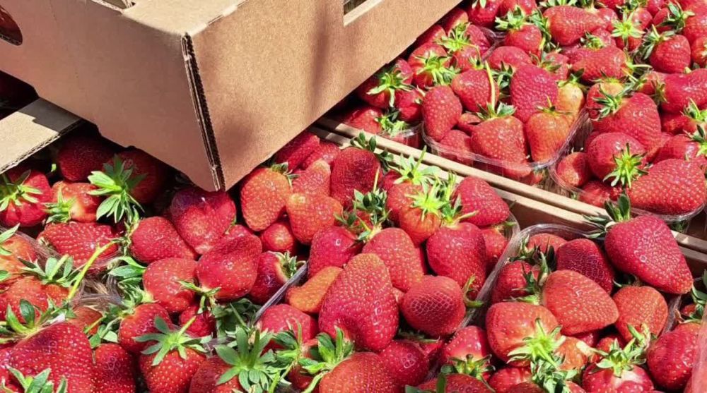 ������������� ��������� � ������ ���� ��������