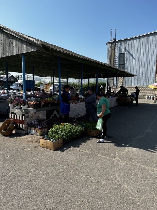 ��������� ���� ��������� ������� ����� ������ �� ������������� ����������� ���������, ����������� �������� �����