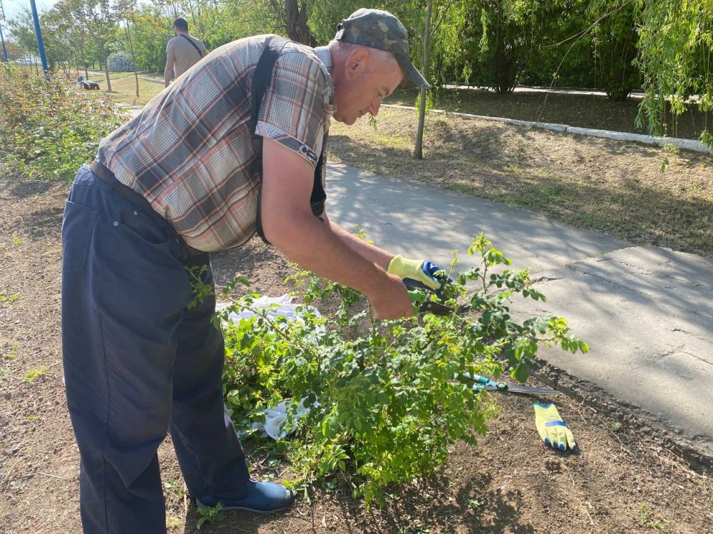 ��� ����������� ������� � ���� ����������� ���������� �����������