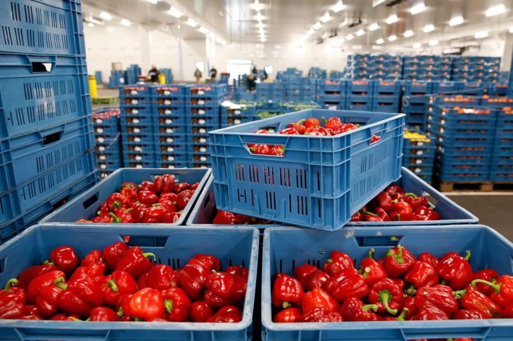 ������������� �������� IC Logistics �������� � ���, ���, ���������� � ����������� �������� ������ ��� �������������������� ���������