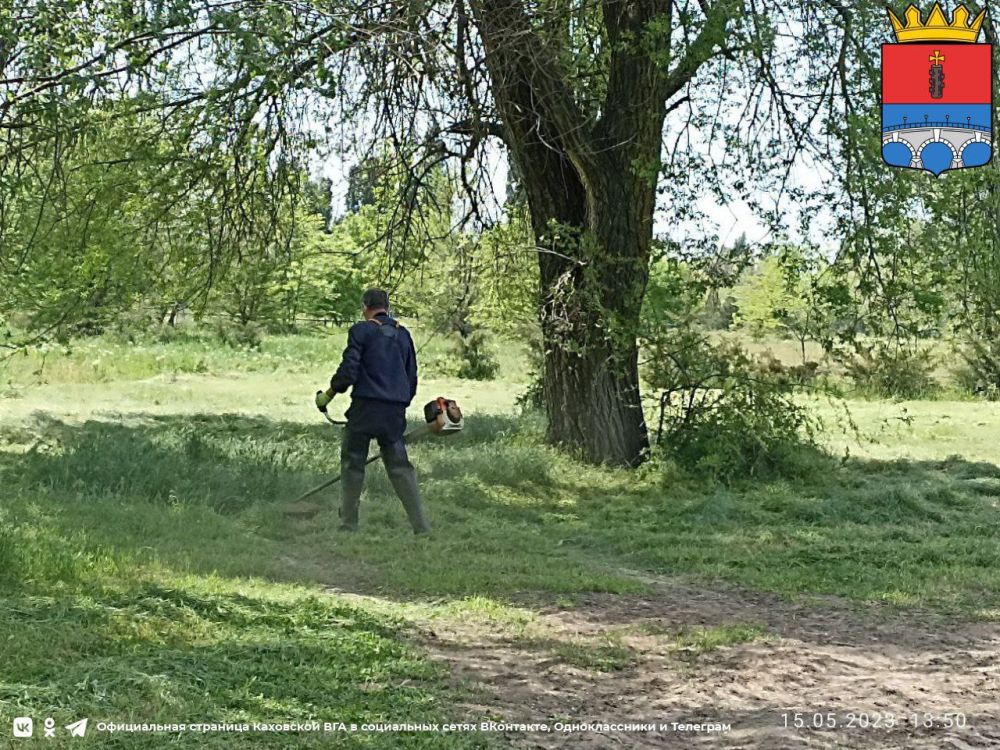 ���������� ������������ ����������� �����������