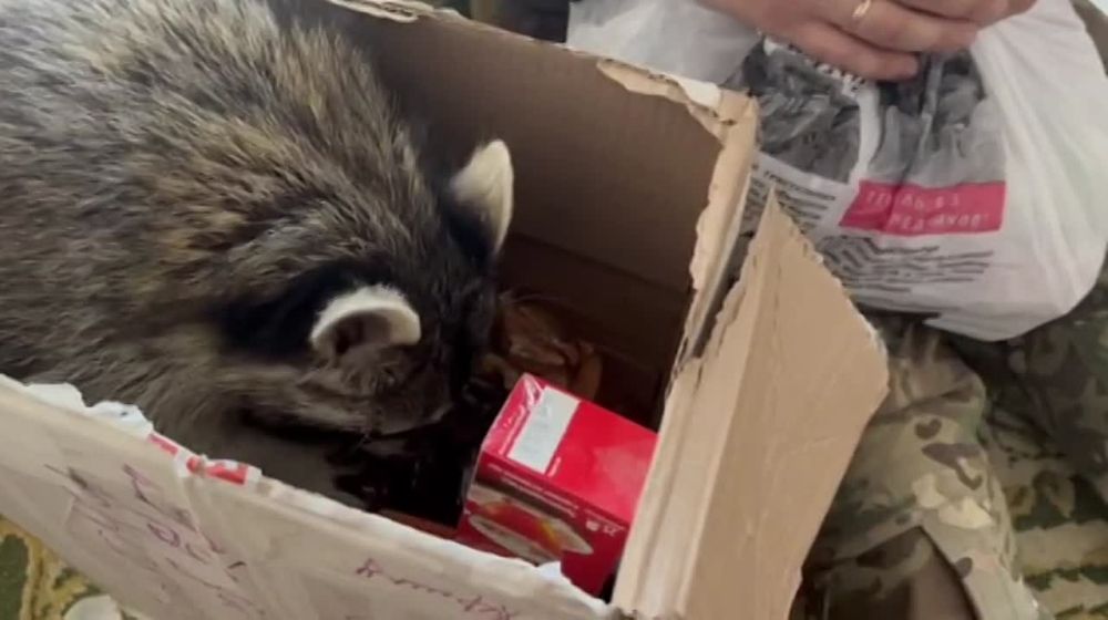 ���� �� �������: ������ ���� � ���������� ������� � ����� ��������