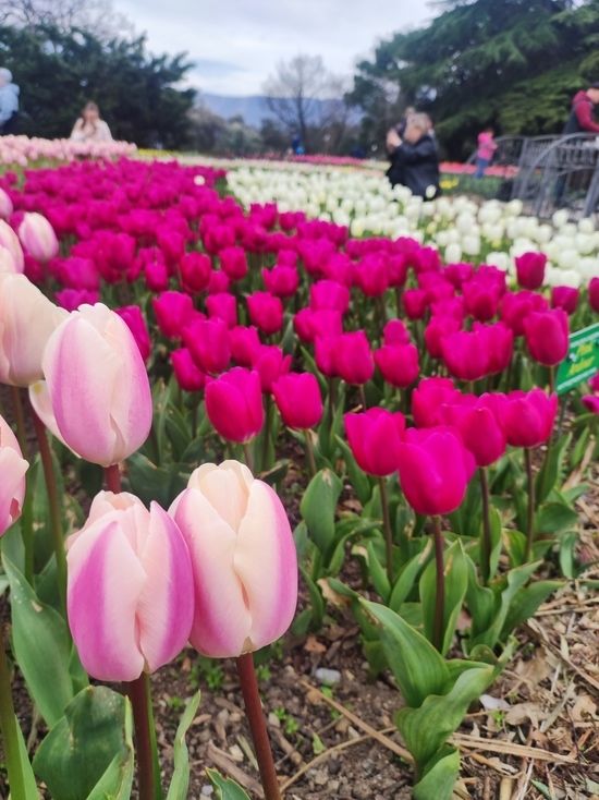 ������� ����������� ��������������� ����� �������� � �����