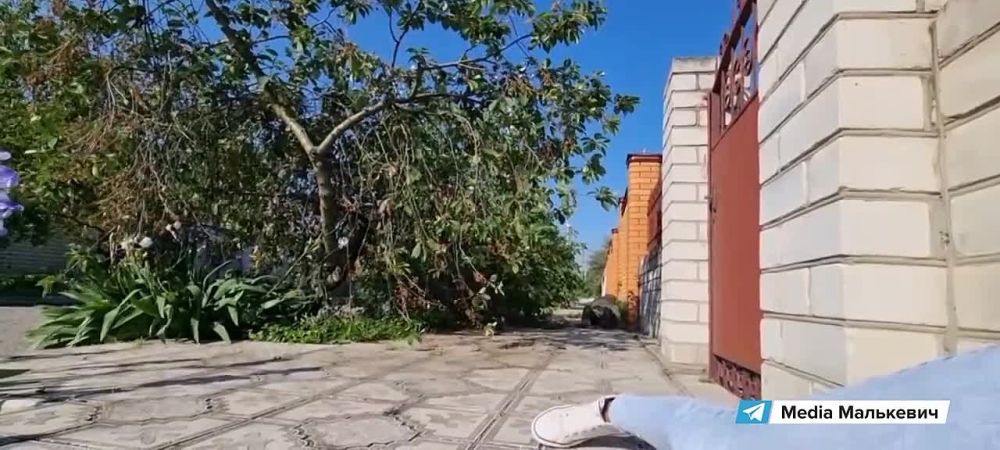 ��������� ���������: � ����������� ����� ��������� ����� � ������� ������������ ����� ����� ������������� �������������� ���������� ������ ��������� ���������