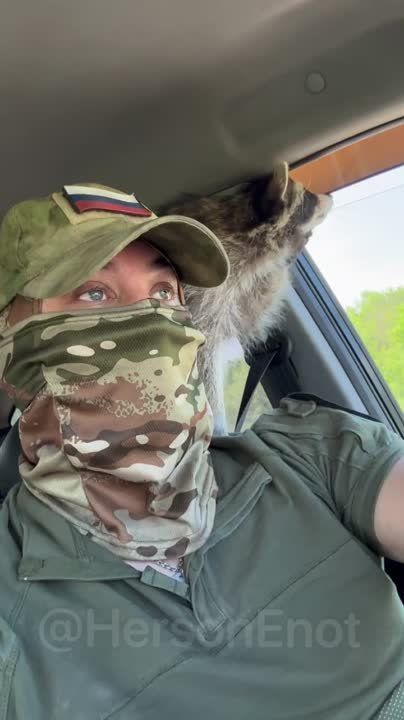 ���� �� �������: ���� ������ ����, � ������� ��������