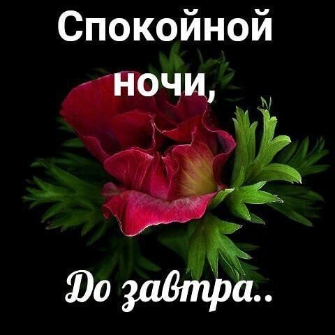 ������ ����, ������! ���������� �����