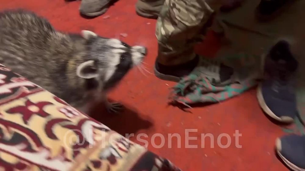 ���� �� �������: ���� ������ ����, �� � � ������� ����� ������� ��������� �������