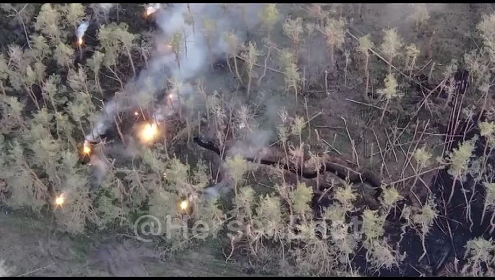 ���� �� �������: ��� ������� ��������� ������ � ��������� ��� ������� � ��������� ���� ��������� ������