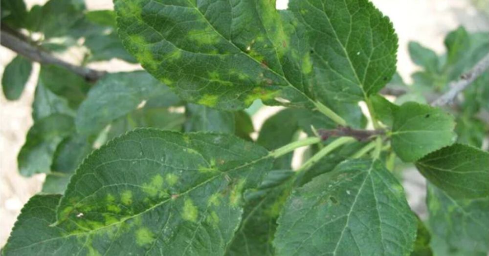 � ���������� ������� �������� ������� �������� ������� ����������� �������