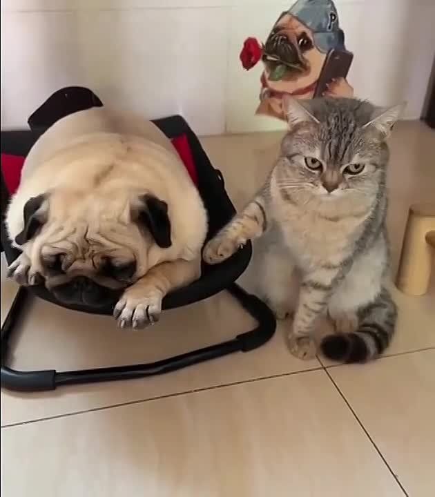 ������ �������� �������� �������� ��� ������ � ���, ��� ���� � ���������