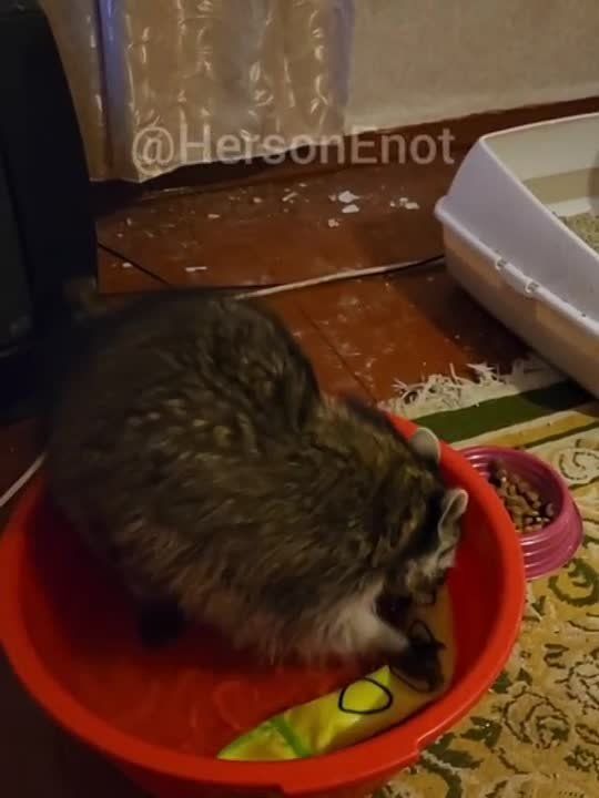 ���� �� �������: ��������� �������, ������! ���������? ������ ������ ��������� �����, ������� ����� ��� �� �����?