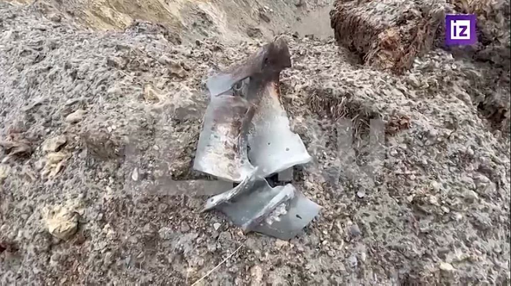 "��� ���������, ������� �������� � ���� ��������������� ��������"