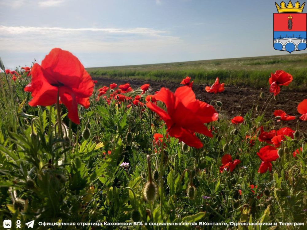 ��������, ����� ��� � ��������� ������������� ������