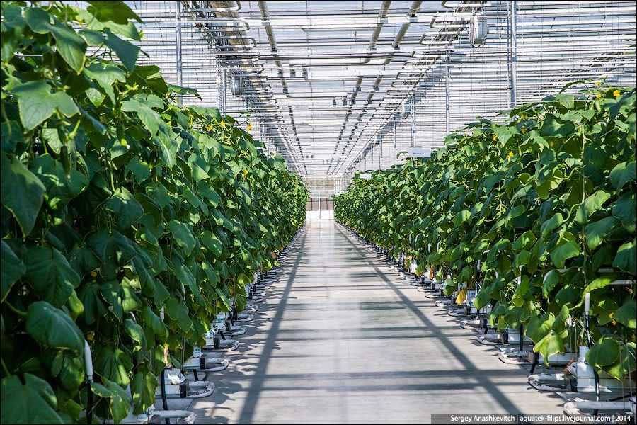 ���������� ���������� ��������� ��������� �������������� ����� ������ � 5000 ��� ��� ��������� ������ � � 165 ��� ��� ���������