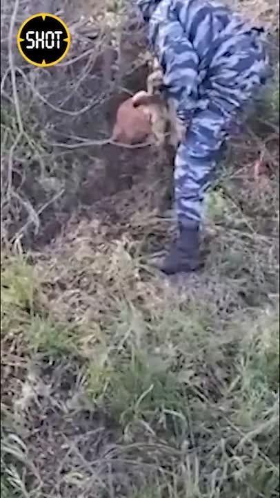 ����� ���������� ������� �������� �� �����������, ������� ���������� ������� � ���������� � �� �/�. �� ����� ����������...