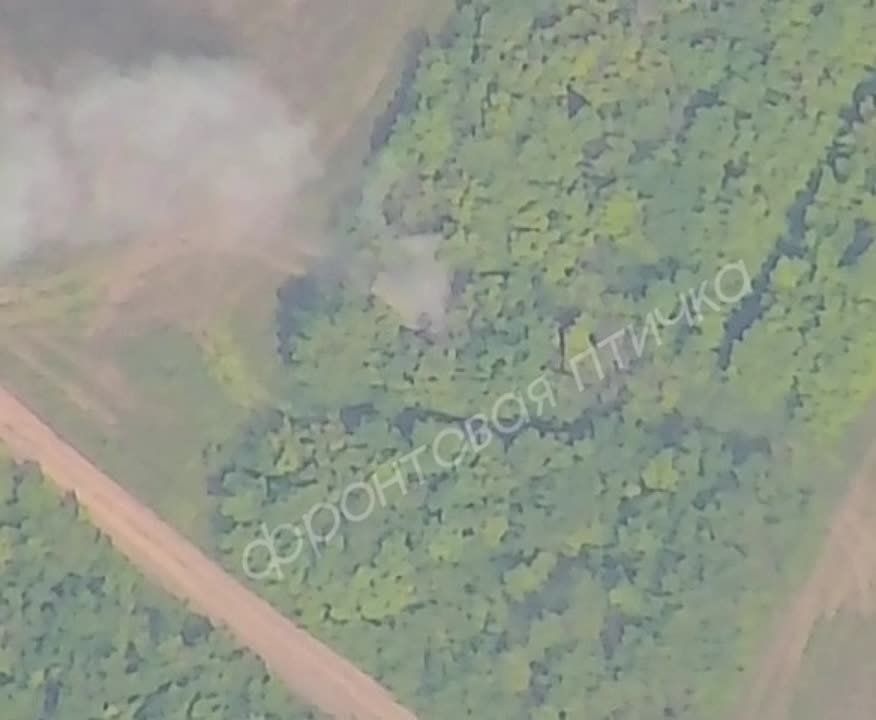 ���� � ������������ VS ��� ����������