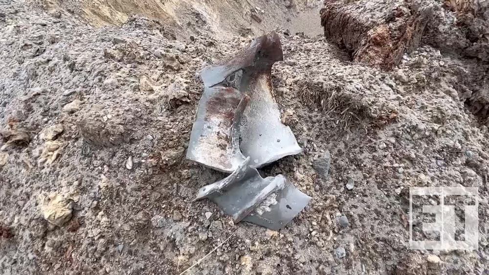 ����� �������: ��� ���������� ����� ������� �� ���� �����