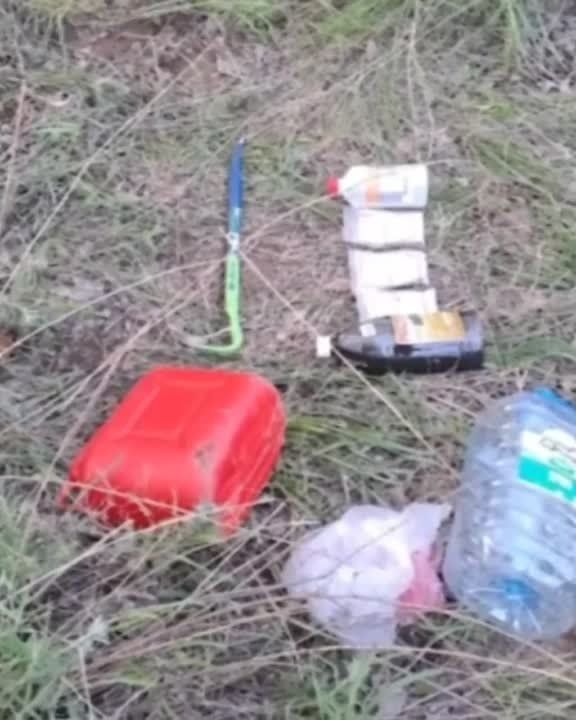 � ����������� ������������ ������� �������� ���������, ������� ��� ������������ ���������� ��������� ������� � ������� ������� ��������������� ��������������, ���������� � ������ ���