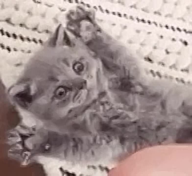 ������� ������� ������� ������ ��� �� ���� ������!