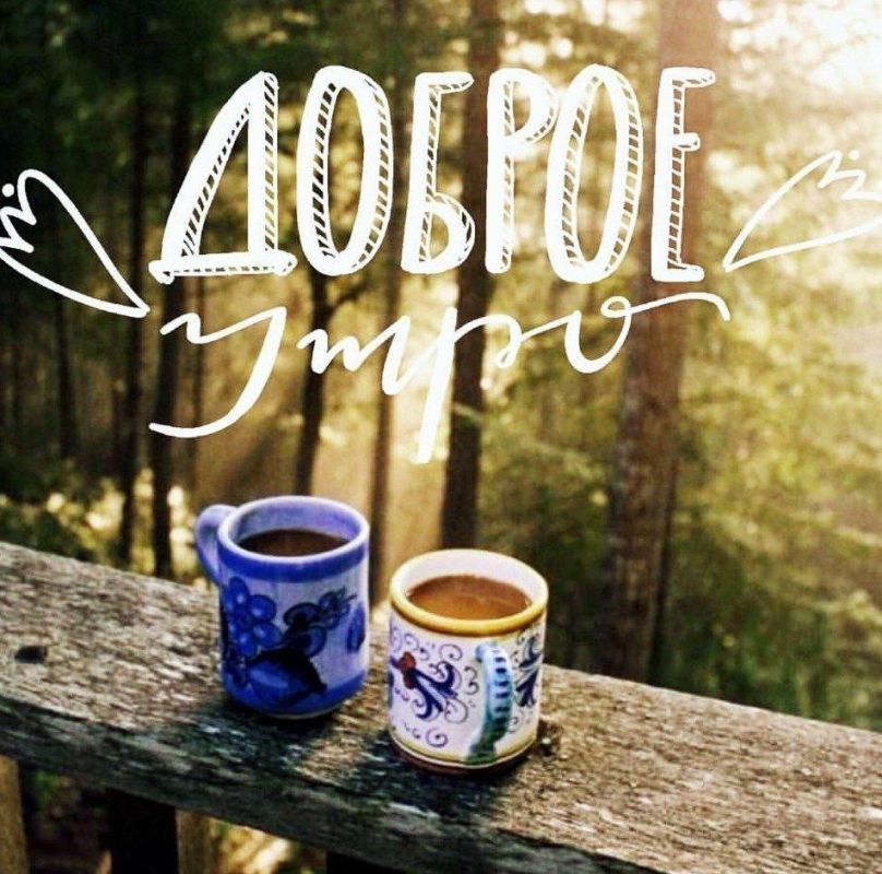 �������, �������������!