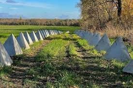 � 2022 ���� ������ ������������ ������� ���������� � �������� ���������� ������� ���������������� ���������� "�������� �����"