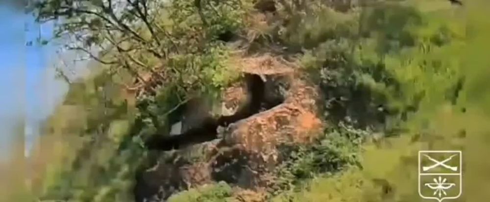 �������� �����: ������� �����-��������� ���������� �������� ��������